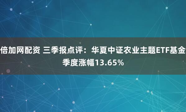 倍加网配资 三季报点评：华夏中证农业主题ETF基金季度涨幅13.65%