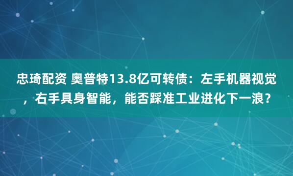 忠琦配资 奥普特13.8亿可转债：左手机器视觉，右手具身智能，能否踩准工业进化下一浪？